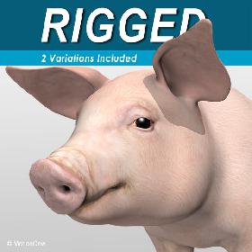 Pig