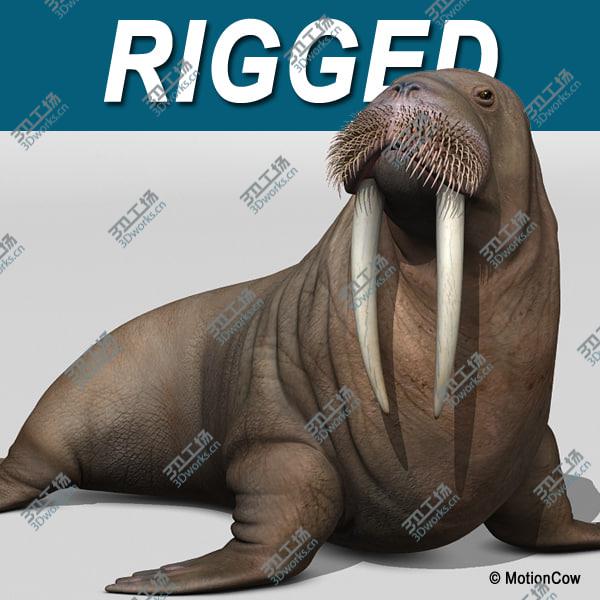 images/goods_img/20210312/Walrus/1.jpg