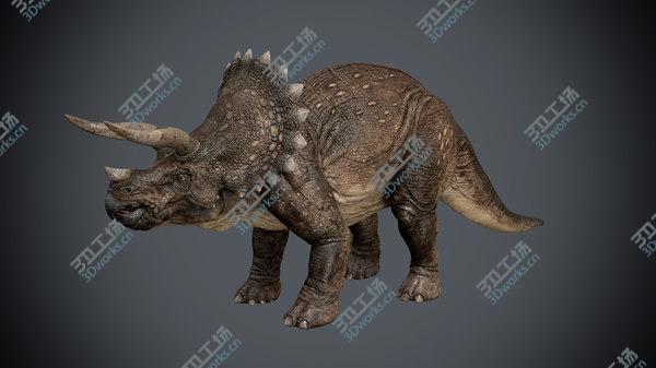 images/goods_img/20210312/triceratops/5.jpg