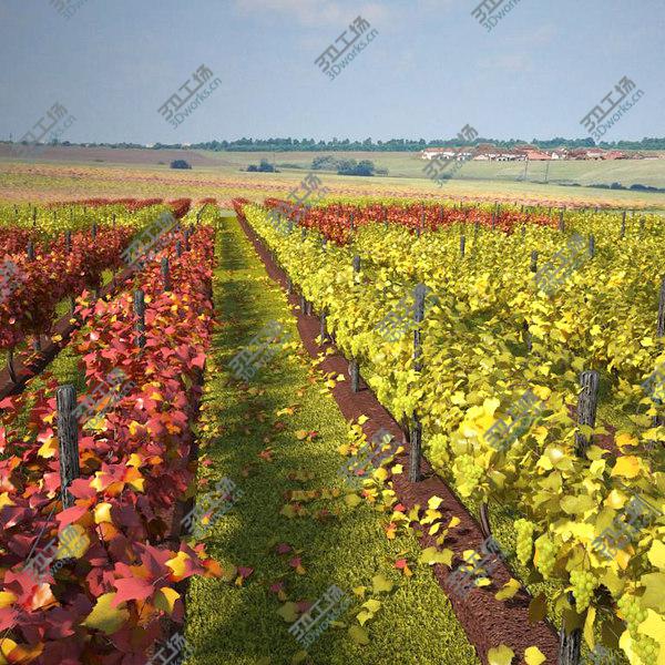 images/goods_img/20210312/vineyard_pack/2.jpg