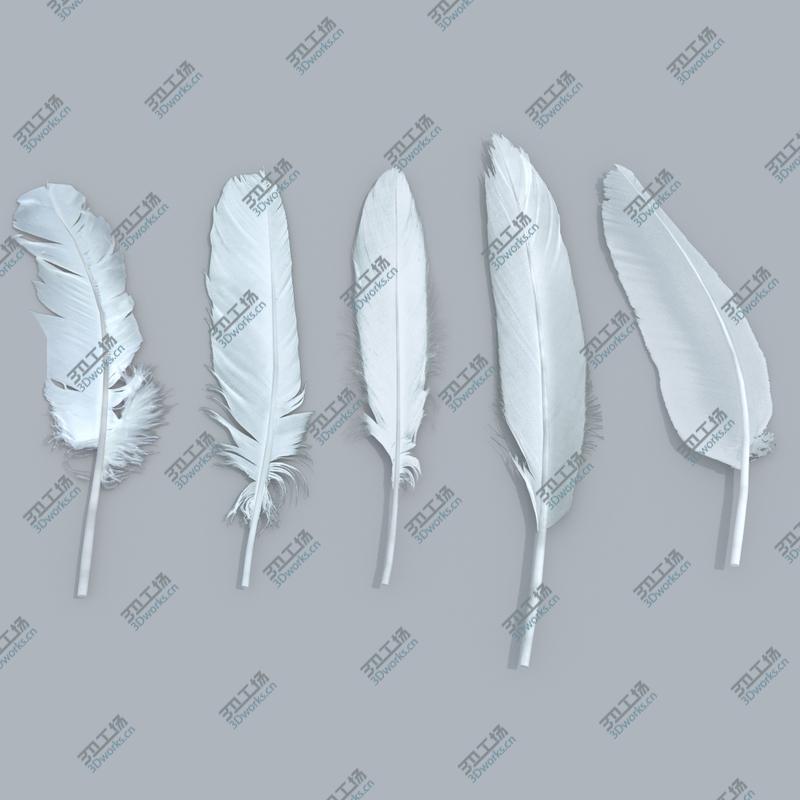 images/goods_img/20210313/Feathers/1.jpg