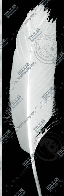 images/goods_img/20210313/Feathers/3.jpg
