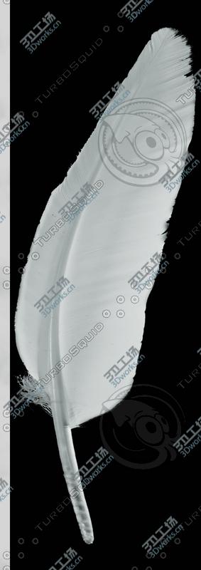 images/goods_img/20210313/Feathers/4.jpg