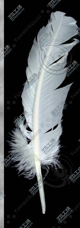 images/goods_img/20210313/Feathers/5.jpg