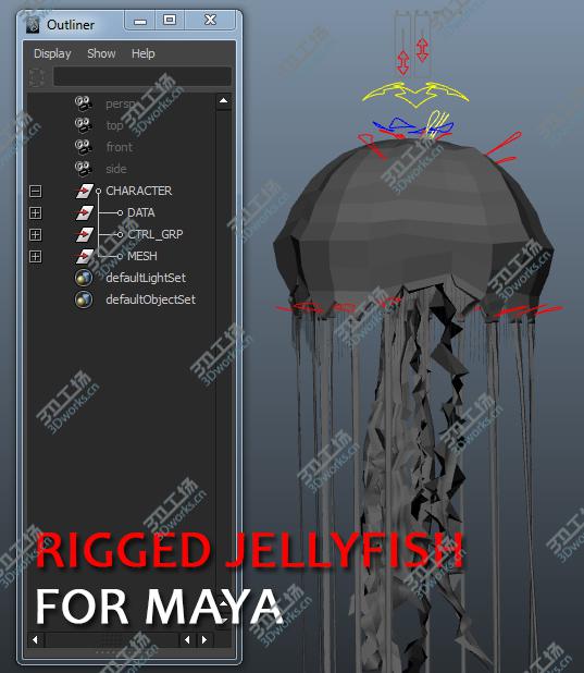 images/goods_img/20210313/JellyFish/1.jpg