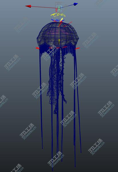 images/goods_img/20210313/JellyFish/2.jpg