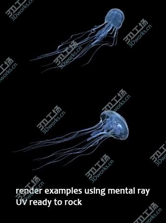 images/goods_img/20210313/JellyFish/4.jpg
