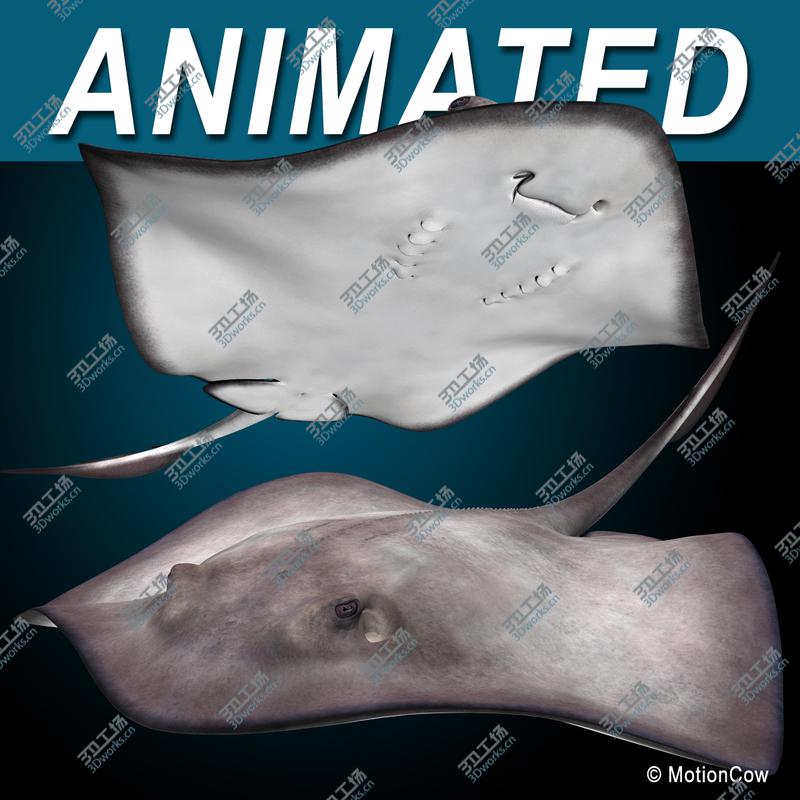 images/goods_img/20210319/Stingray/1.jpg