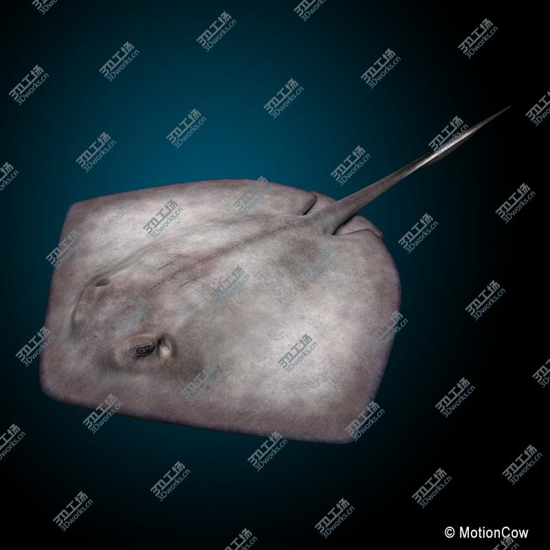 images/goods_img/20210319/Stingray/2.jpg