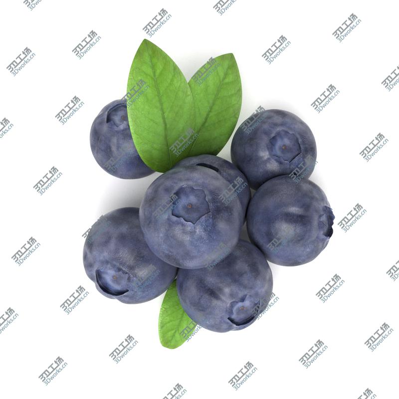images/goods_img/20210319/blueberries/3.jpg