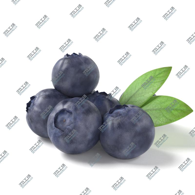 images/goods_img/20210319/blueberries/4.jpg