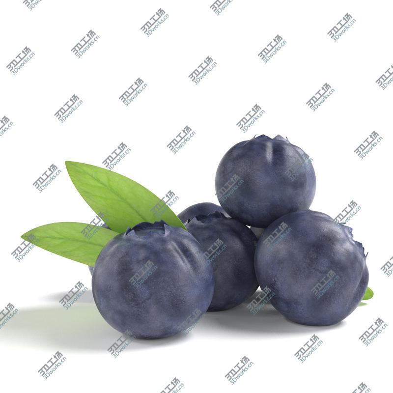 images/goods_img/20210319/blueberries/5.jpg