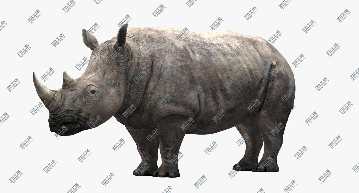 images/goods_img/202104023/Rhino/2.jpg