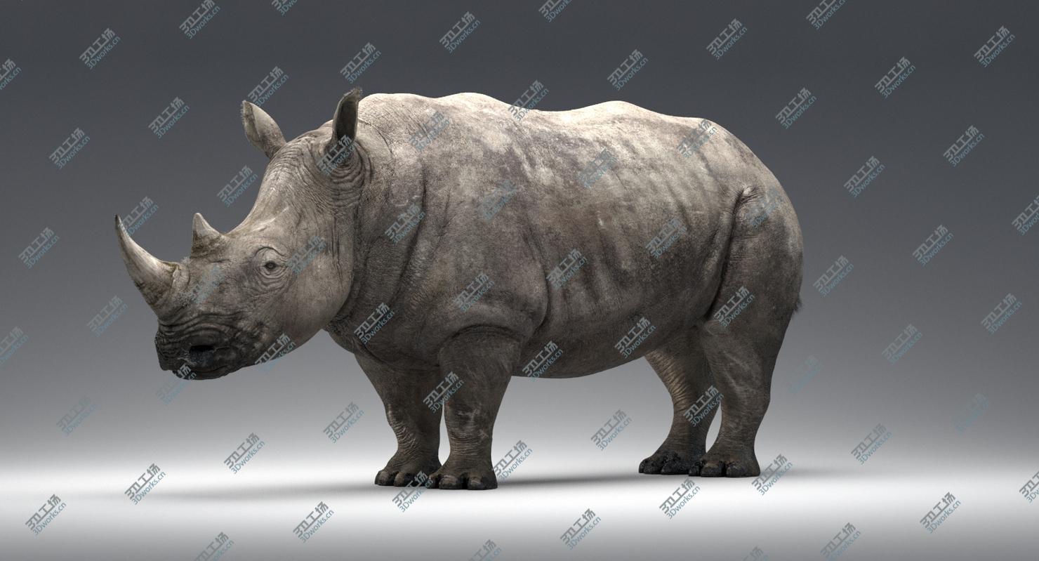 images/goods_img/202104023/Rhino/4.jpg