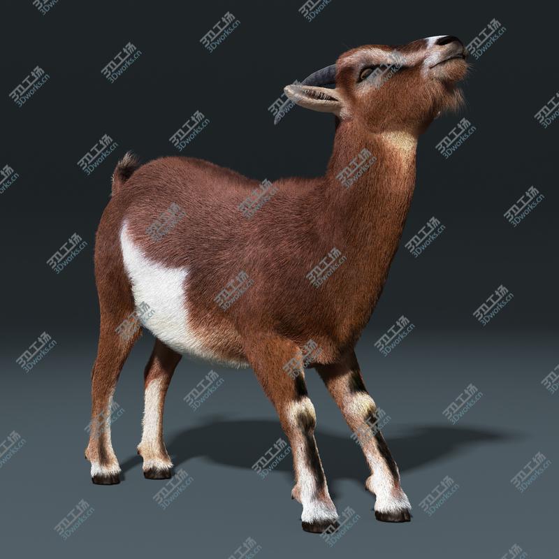 images/goods_img/2021040231/Goat(FUR)(RIGGED)/1.jpg