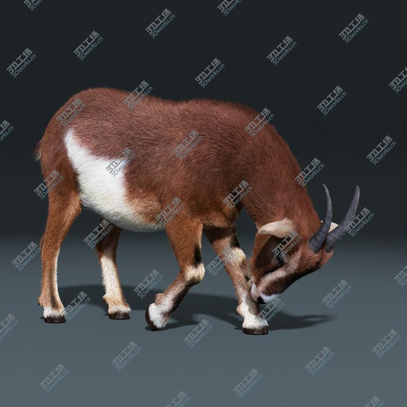 images/goods_img/2021040231/Goat(FUR)(RIGGED)/2.jpg
