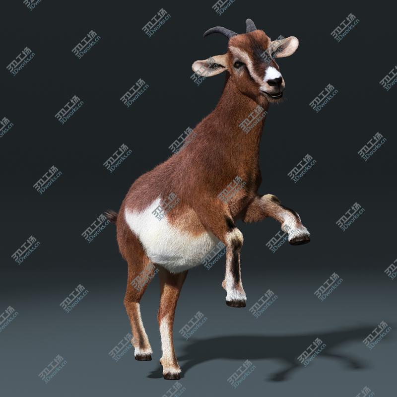 images/goods_img/2021040231/Goat(FUR)(RIGGED)/4.jpg