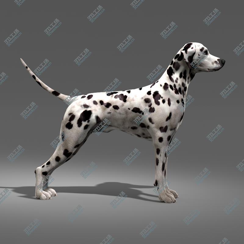 images/goods_img/2021040232/Dalmatian/3.jpg