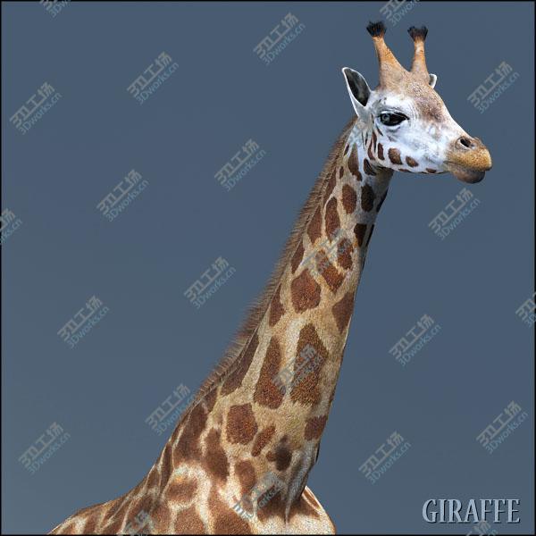 images/goods_img/2021040232/Giraffe(1)/5.jpg