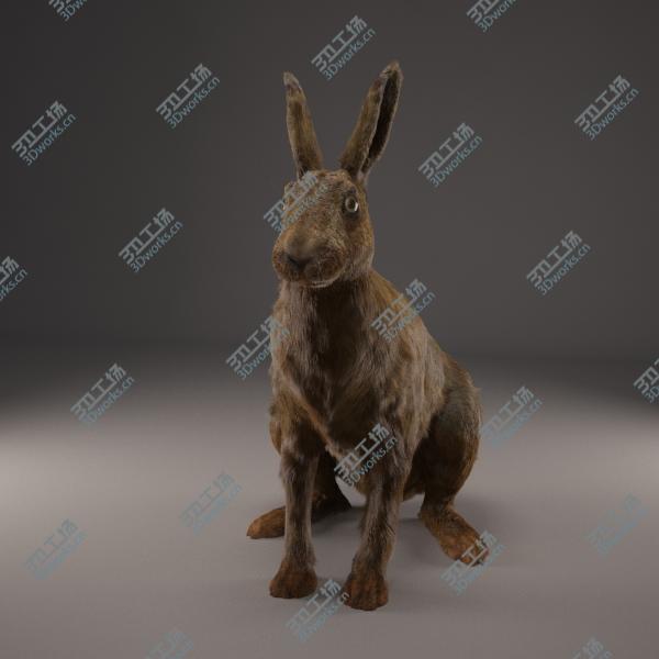 images/goods_img/2021040232/Hare/4.jpg