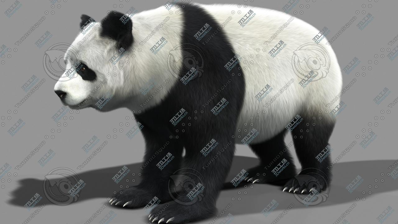 images/goods_img/2021040232/Panda-A/1.jpg