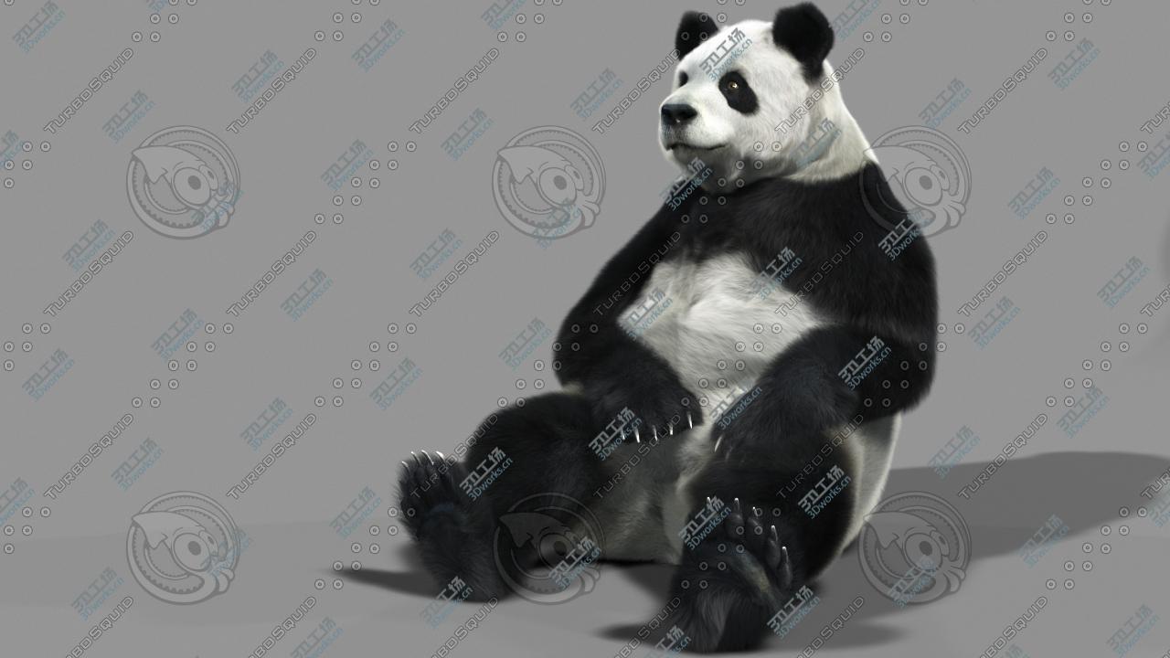 images/goods_img/2021040232/Panda-A/2.jpg