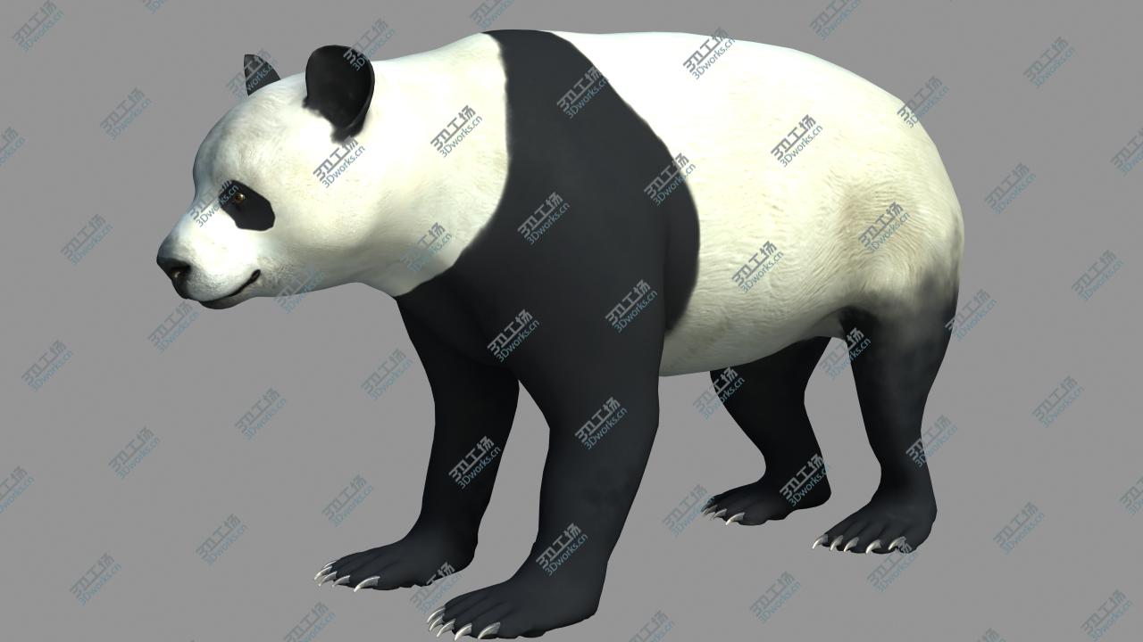 images/goods_img/2021040232/Panda-A/3.jpg