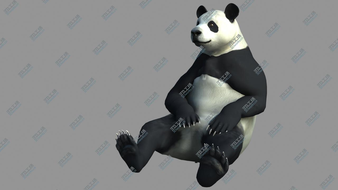 images/goods_img/2021040232/Panda-A/4.jpg