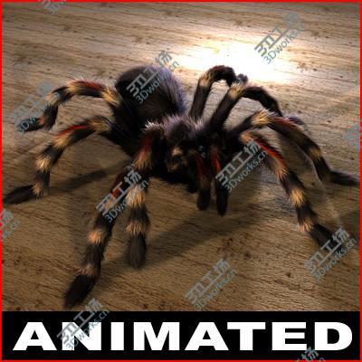 images/goods_img/2021040232/spider/1.jpg