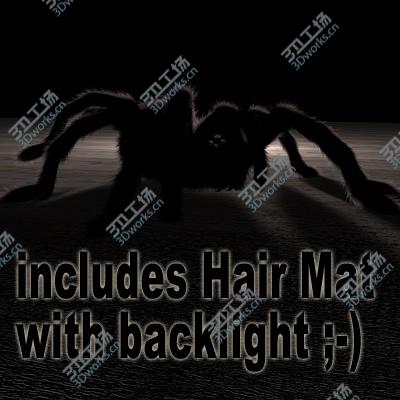images/goods_img/2021040232/spider/2.jpg