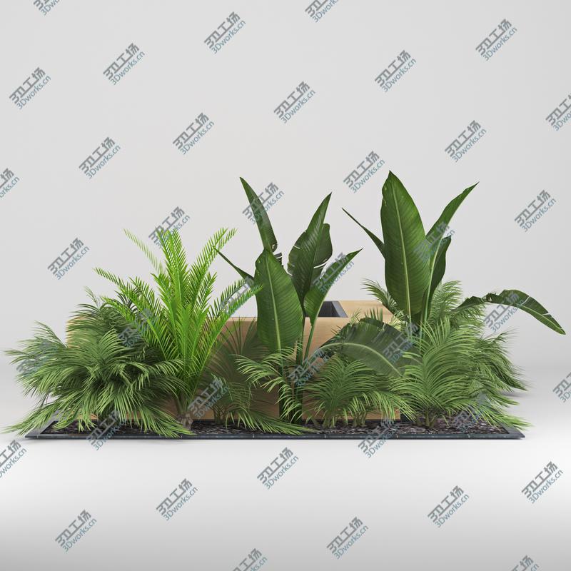 images/goods_img/2021040233/Flowerbed/2.jpg