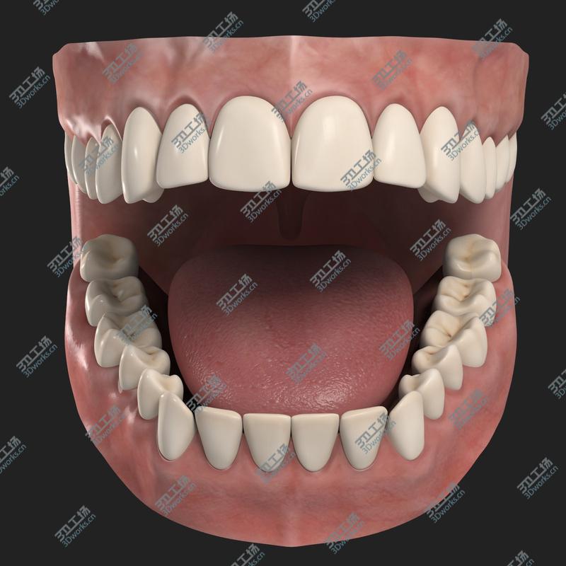 images/goods_img/2021040233/Teeth/4.jpg