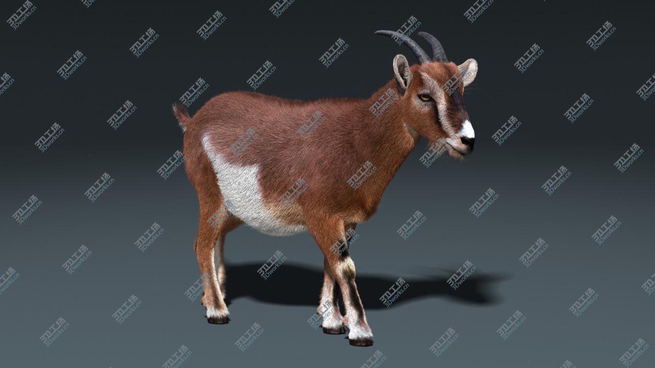 images/goods_img/2021040234/Goat(FUR)(ANIMATED)/3.jpg