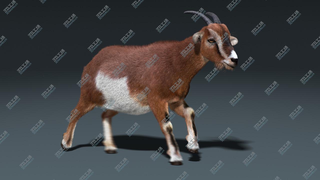 images/goods_img/2021040234/Goat(FUR)(ANIMATED)/4.jpg