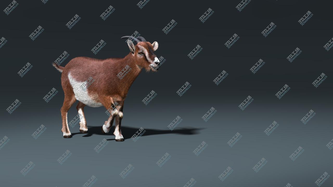images/goods_img/2021040234/Goat(FUR)(ANIMATED)/5.jpg