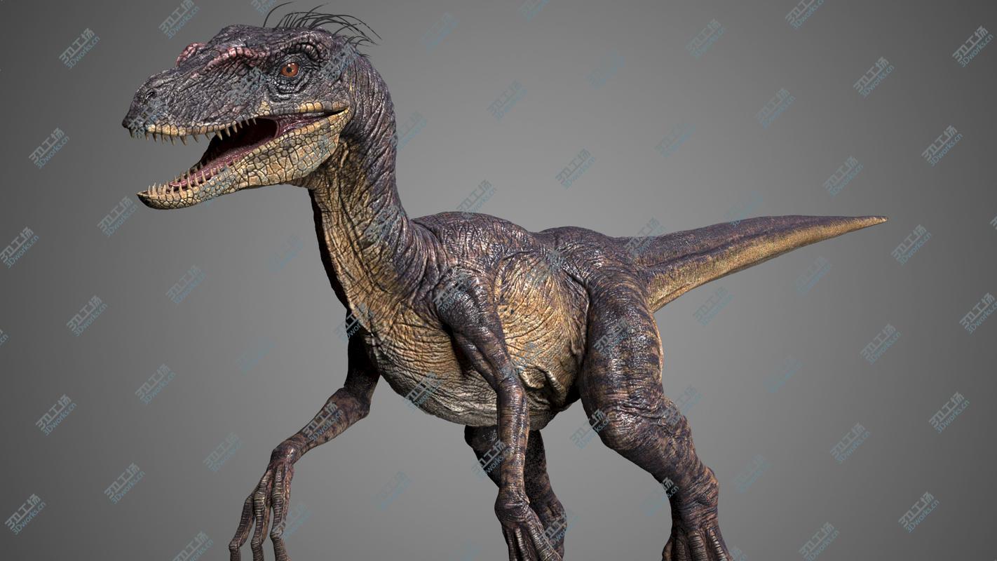 images/goods_img/2021040235/Velociraptor/1.jpg