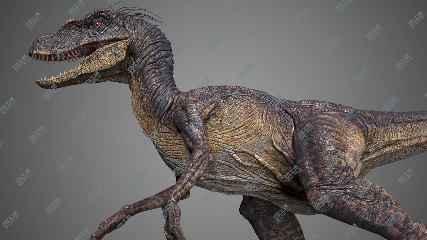 images/goods_img/2021040235/Velociraptor/2.jpg