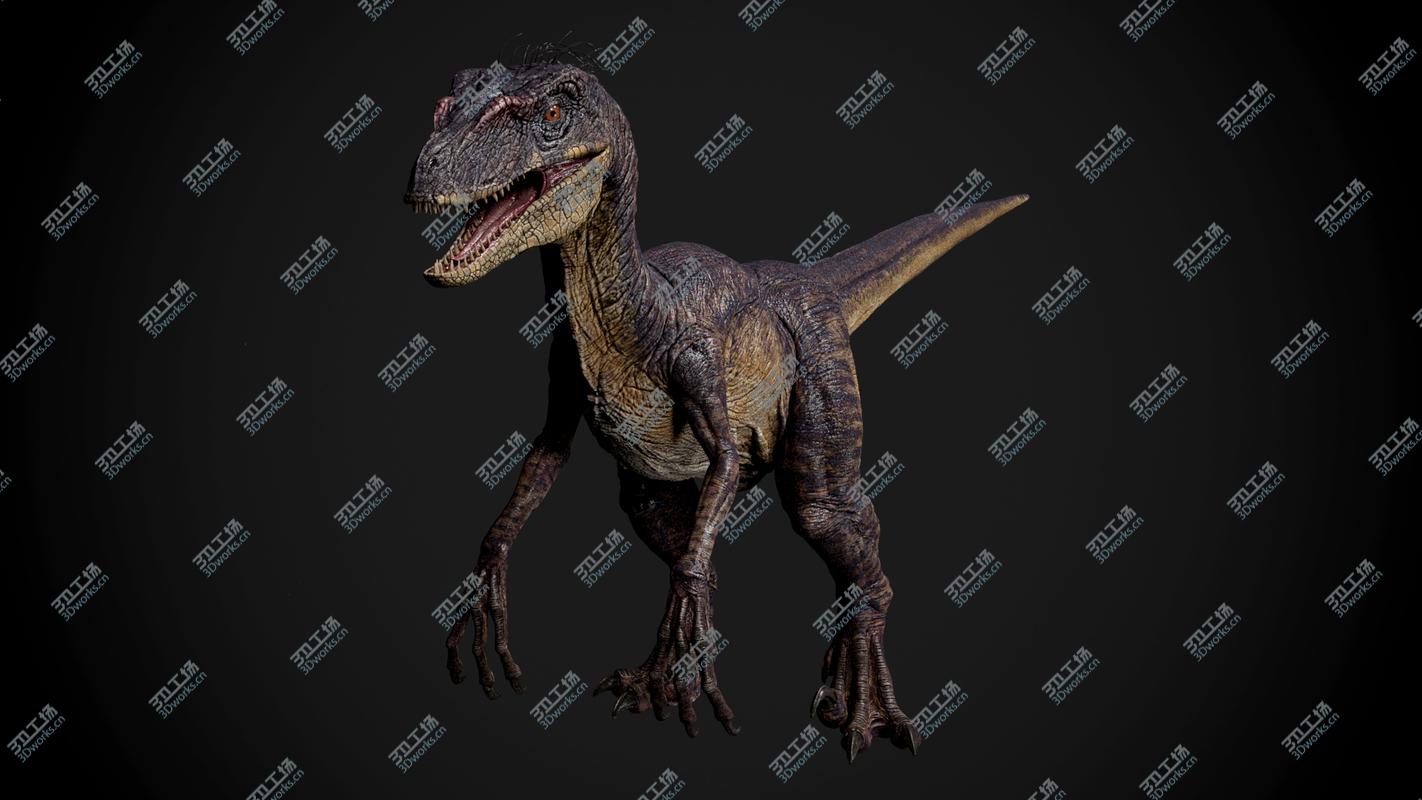 images/goods_img/2021040235/Velociraptor/3.jpg