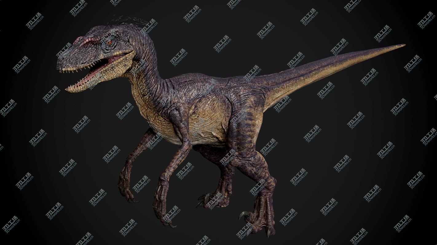 images/goods_img/2021040235/Velociraptor/4.jpg