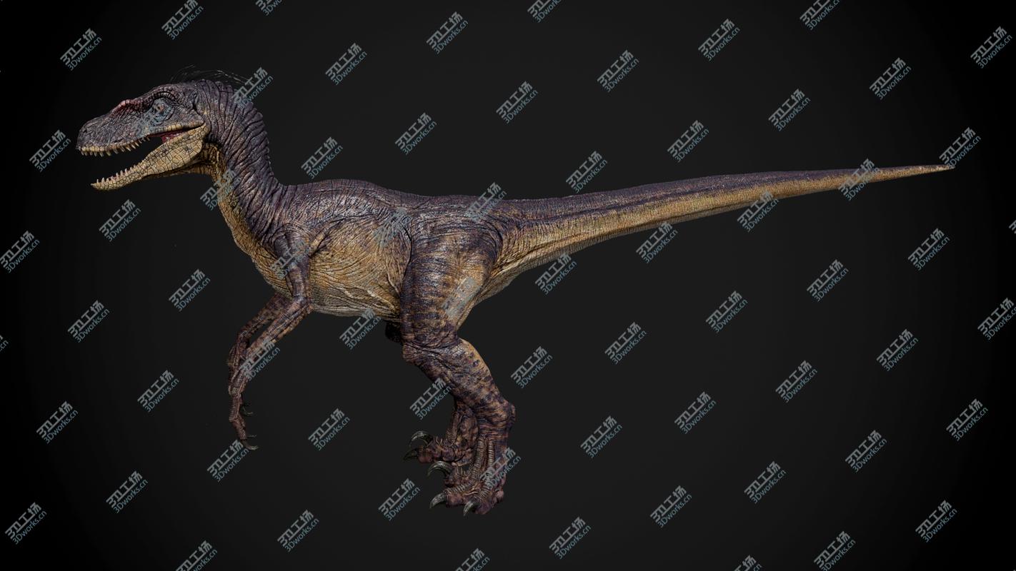 images/goods_img/2021040235/Velociraptor/5.jpg
