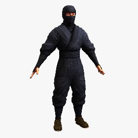 Ninja