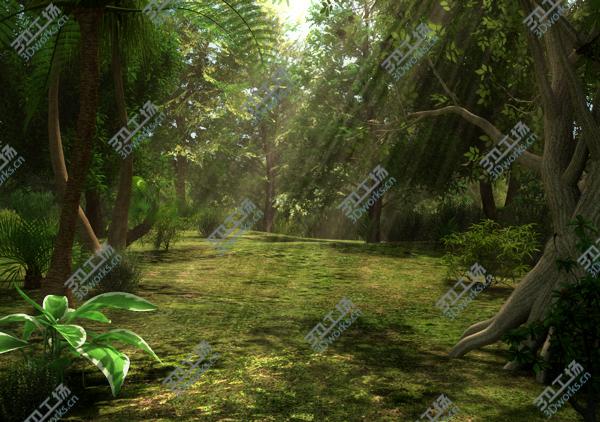 images/goods_img/202104092/Jungle/1.jpg