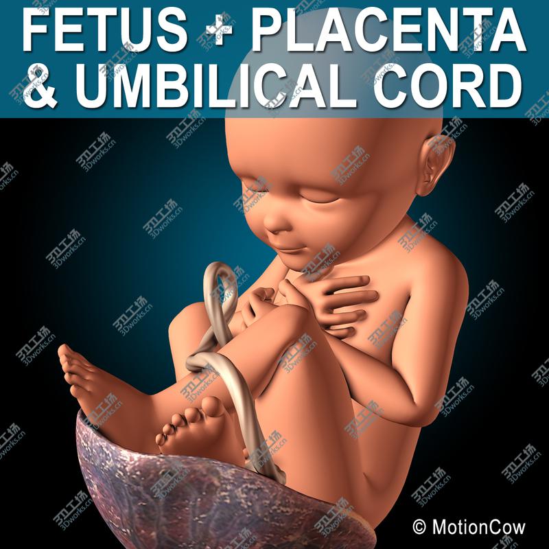 images/goods_img/202105071/Fetus/1.jpg