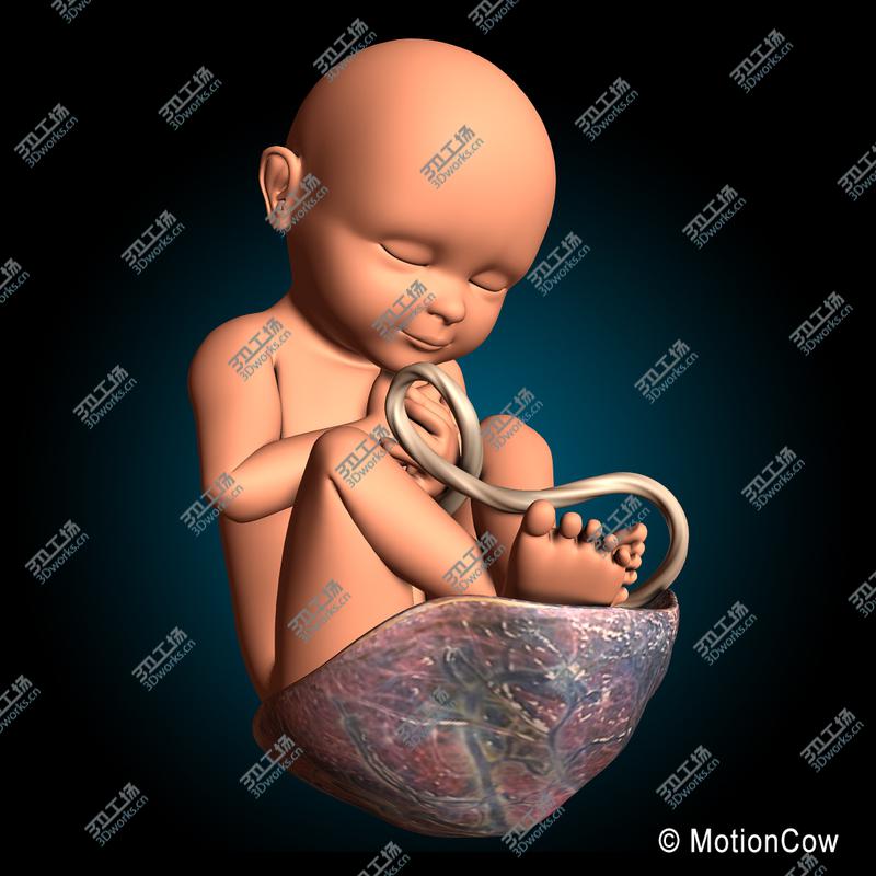 images/goods_img/202105071/Fetus/2.jpg