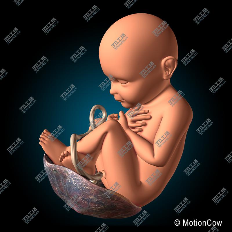 images/goods_img/202105071/Fetus/4.jpg
