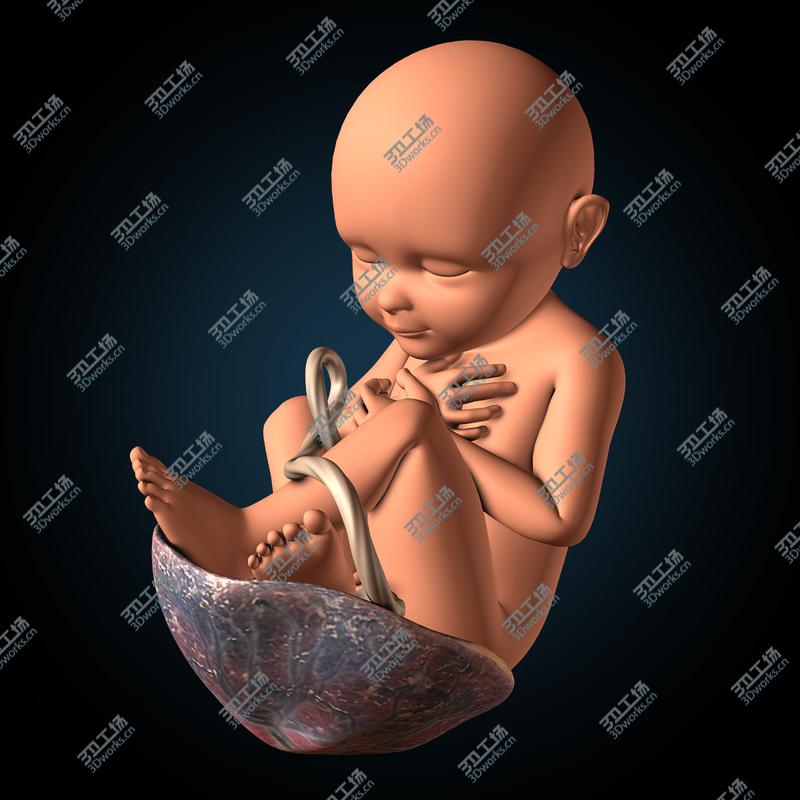 images/goods_img/202105071/Fetus/5.jpg