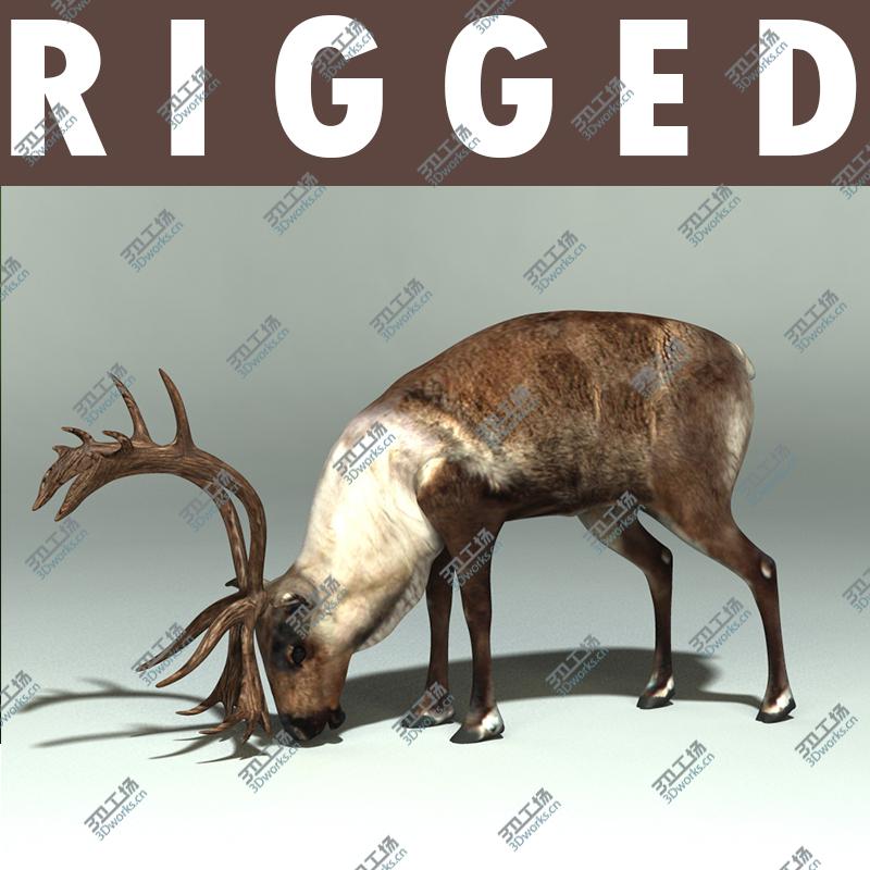 images/goods_img/202105071/Reindeer/1.jpg