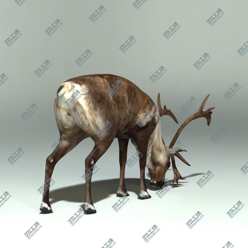 images/goods_img/202105071/Reindeer/4.jpg