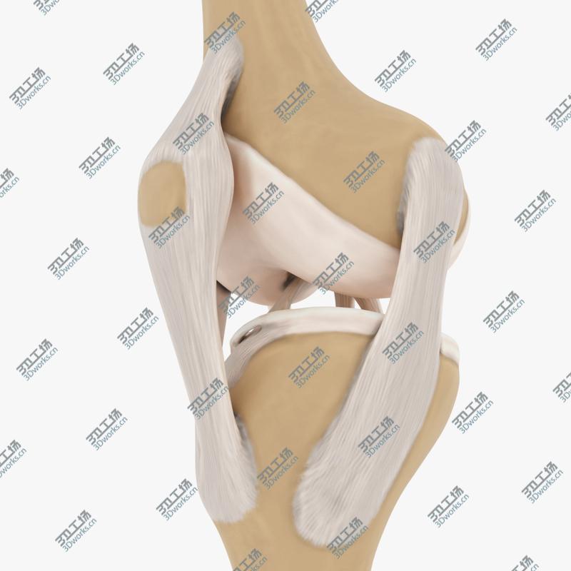 images/goods_img/202105072/Knee-joint/3.jpg