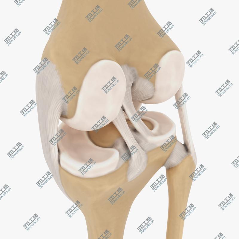 images/goods_img/202105072/Knee-joint/4.jpg